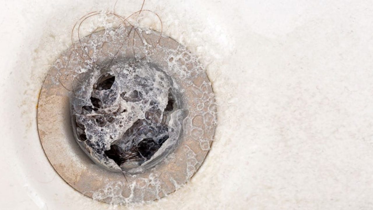 Shower Drain Protector