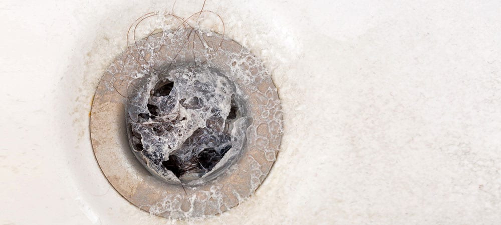 Discover How to Handle and Prevent a Clogged Shower Drain