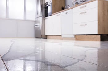 A water leak may indicate that your dishwasher will not drain.