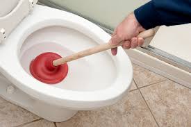 Four Different Types of Plungers and How to Use Them